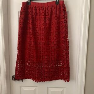 Anthro brand skirt. Size XL